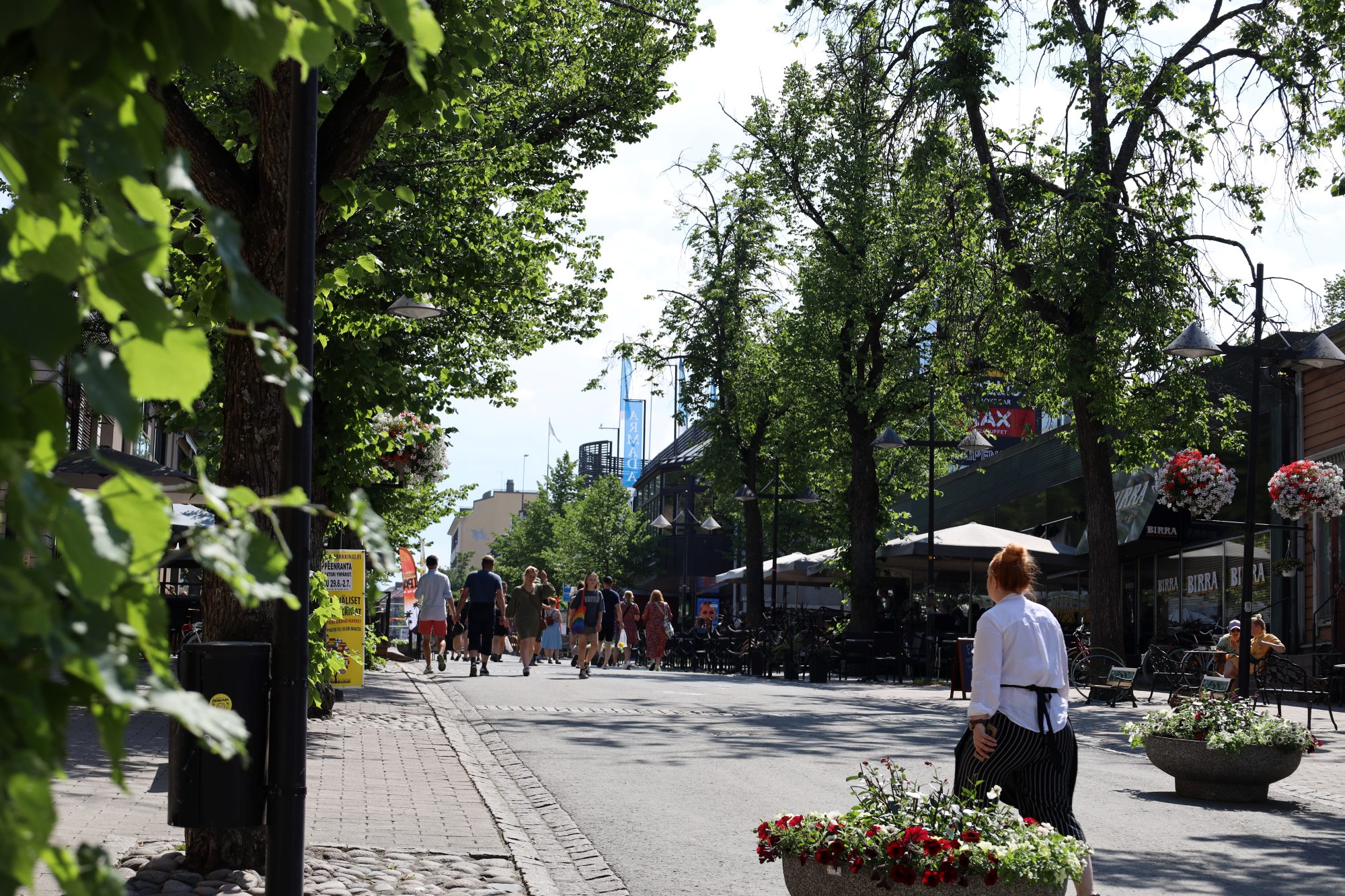 Kävelykatua, jossa kävelee ihmisiä. Puita, rakennuksia, kukkaistutuksia.